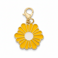 Yellow Daisy Flower